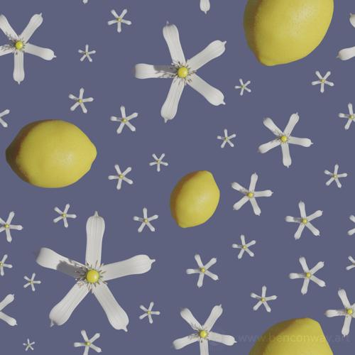 Lemons and lemon flowers